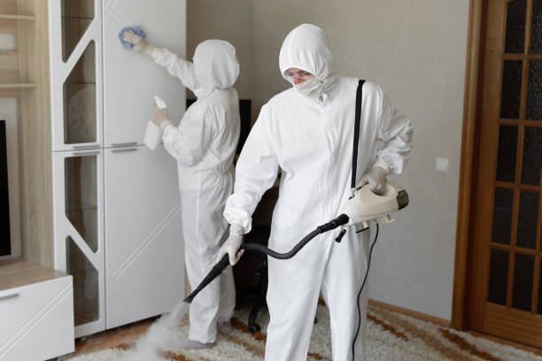 24/7 Emergency Odor Removal experts in Allendale, MI